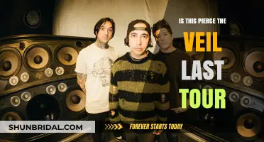 Is Pierce the Veil's Current Tour Their Final Farewell?