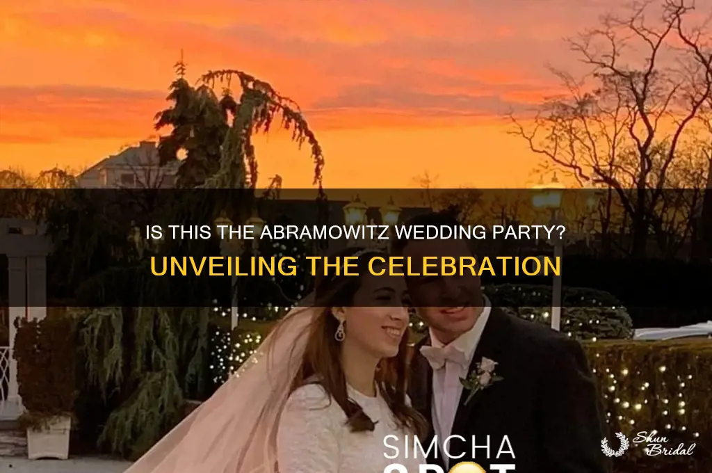 is this the abramowitz wedding party