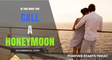 Is This What You Call a Honeymoon? Expectations vs. Reality