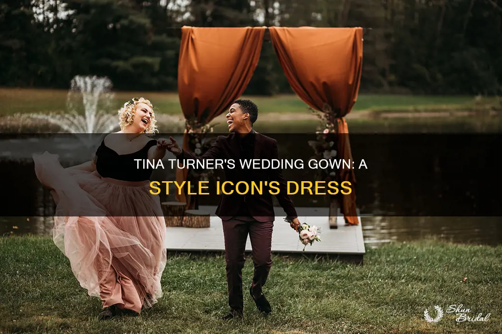 is tina turner wedding dress