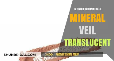 Is Tinted BareMinerals Mineral Veil Truly Translucent? A Review