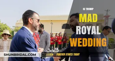 Trump's Royal Wedding Reaction: Madness or Political Strategy?