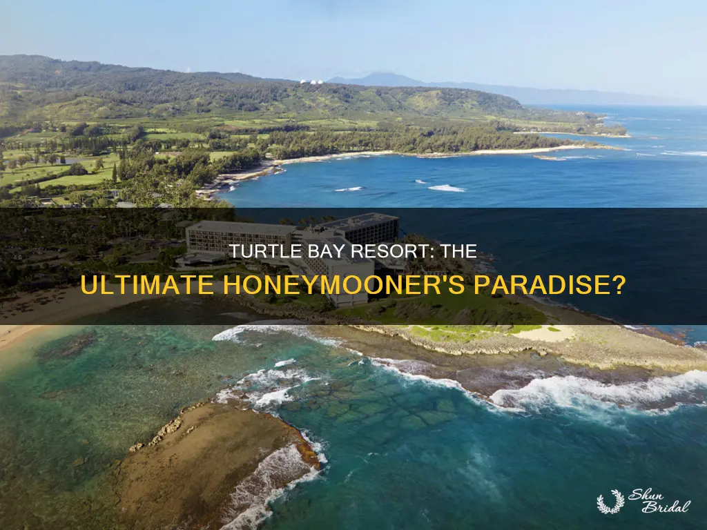 is turtle bay resort good for honeymoon