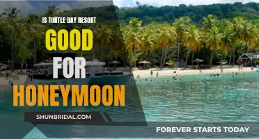 Honeymoon at Turtle Bay Resort: Is It Worth It?