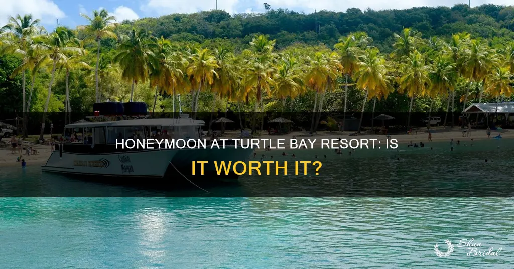is turtle bay resort good for honeymoon