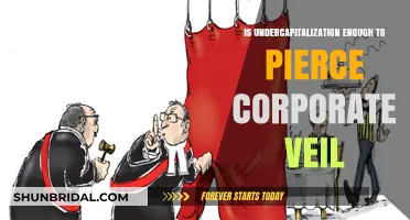 Undercapitalization and Corporate Veil Piercing: Legal Risks Explained