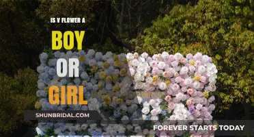 Unveiling V Flower's Gender: Boy, Girl, or Virtual Enigma?