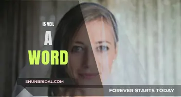 Is Veil a Word? Exploring Its Meaning, Usage, and Linguistic Roots