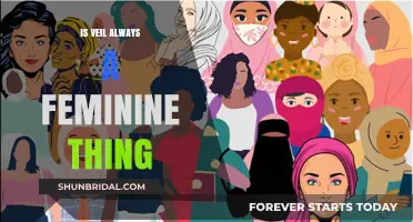 Veils Beyond Gender: Unraveling the Feminine Stereotype and Cultural Significance