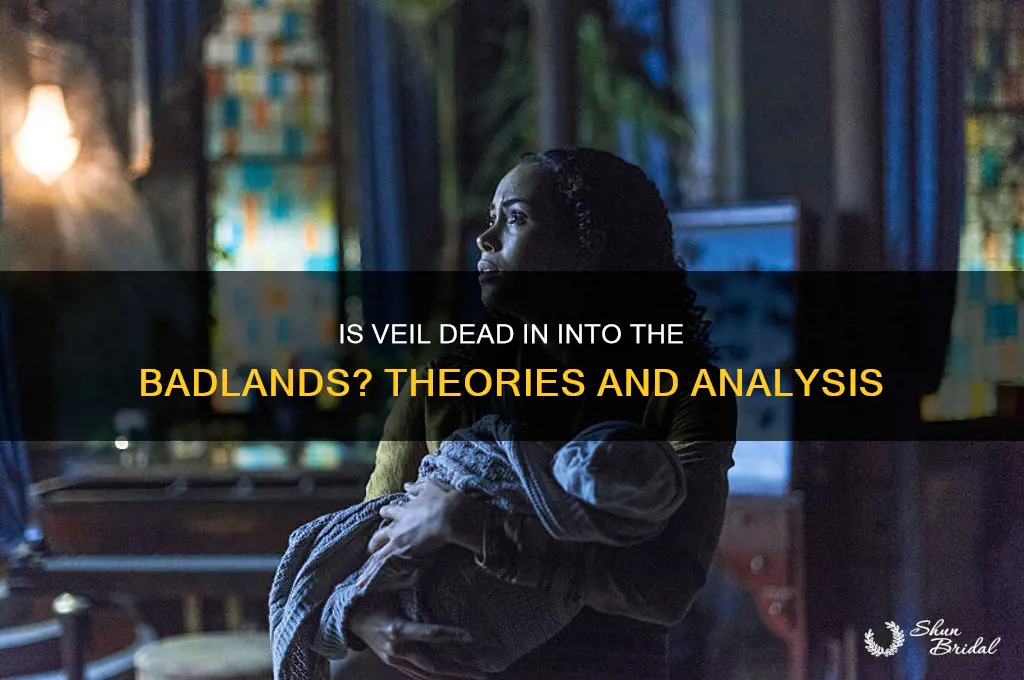 is veil dead into the badlands