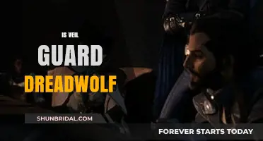Unveiling the Truth: Veil Guard and the Dreadwolf Connection Explored