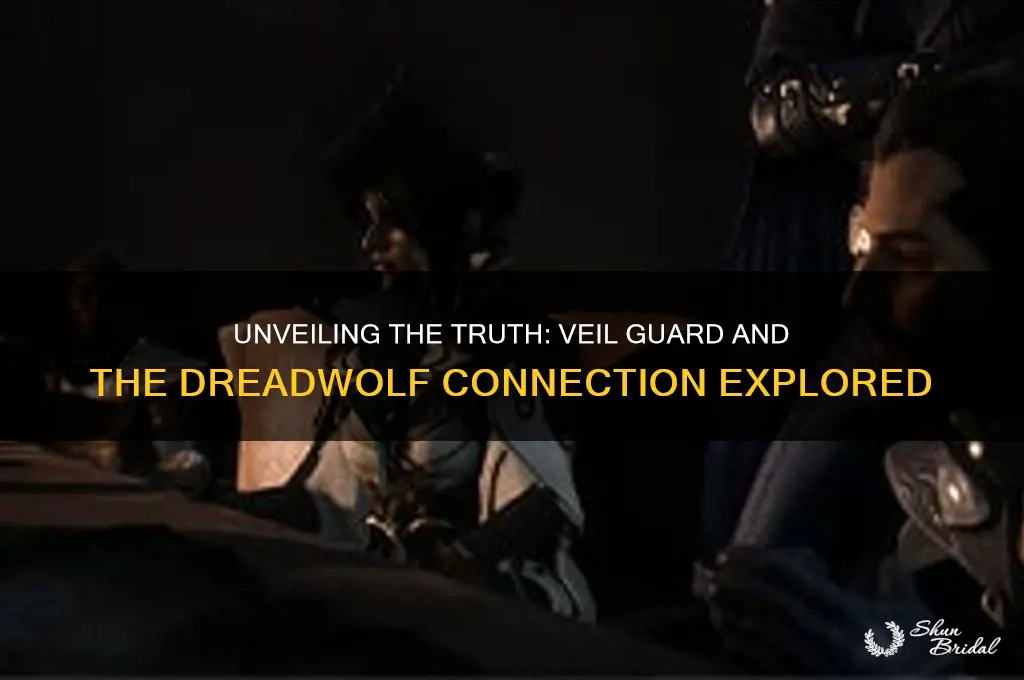 is veil guard dreadwolf