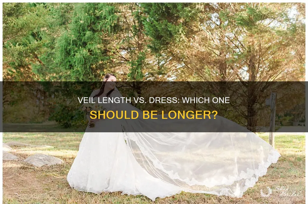 is veil longer than dress