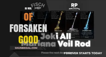 Is Veil of the Forsaken Worth It? Pros, Cons, and Verdict