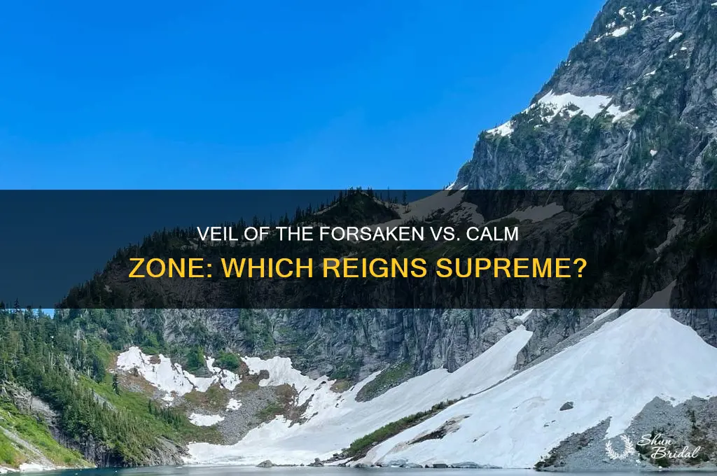 is veil of the forsaken better than calm zone