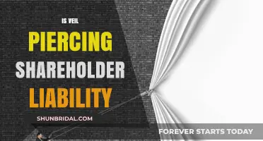Understanding Veil Piercing: Shareholder Liability Risks and Legal Implications
