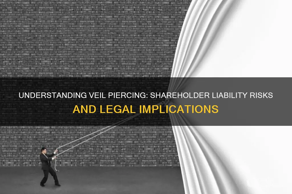 is veil piercing shareholder liability