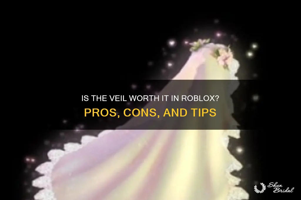 is veil worth it robloz