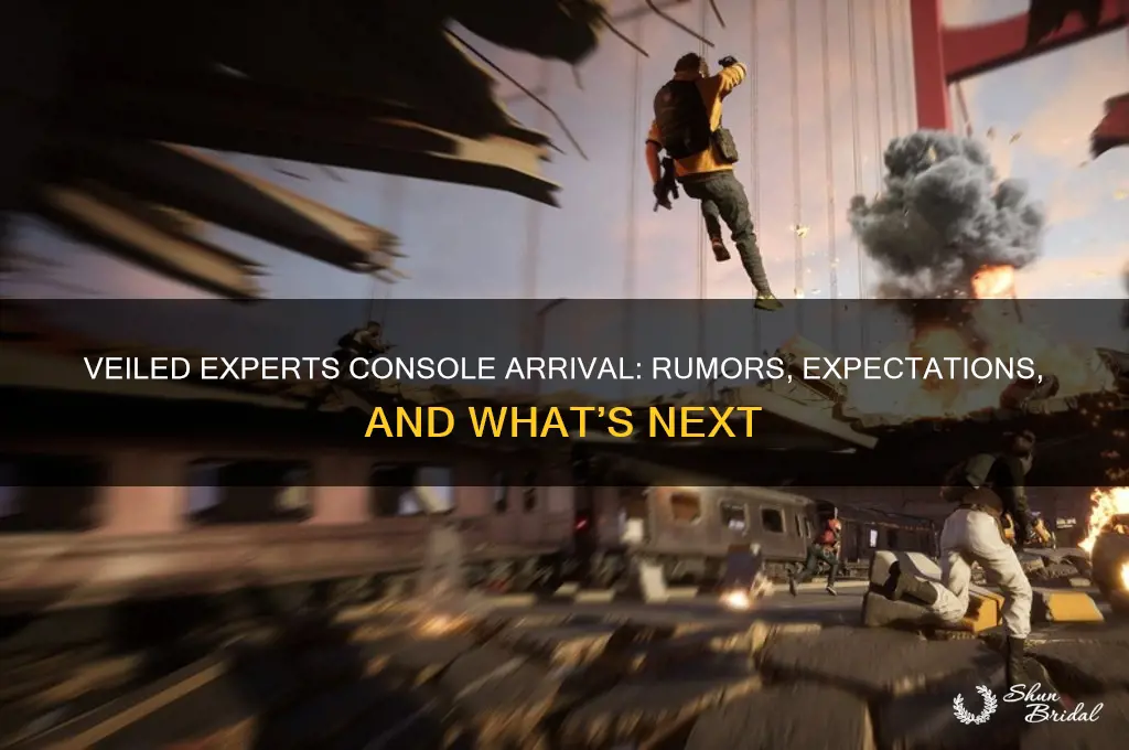 is veiled experts coming to console