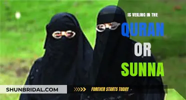 Veiling in Islam: Quranic or Sunnah Practice? Exploring the Evidence