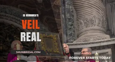 Is Veronica's Veil Real? Unraveling the Mystery and Historical Evidence