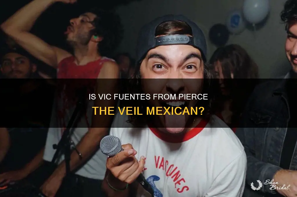 is vic from pierce the veil mexican