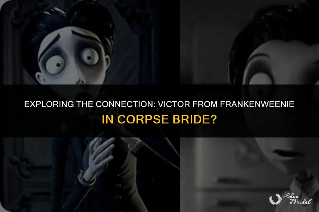 is victor from frankenweenie in corpse bride
