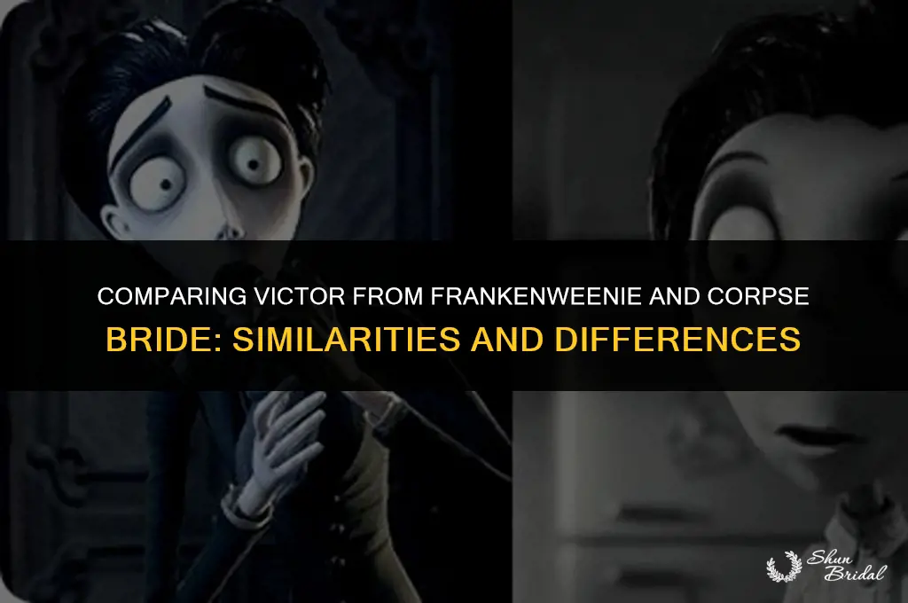 is victor from frankenweenie the same as corpse bride