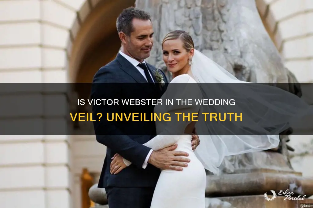 is victor webster in the wedding veil