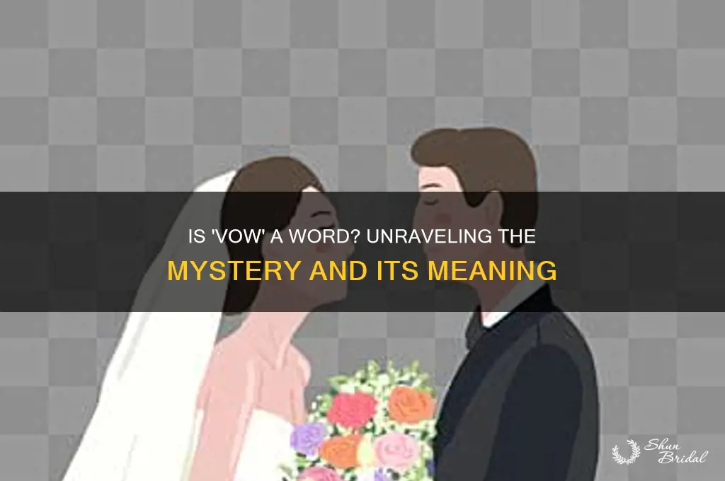 is vow a word