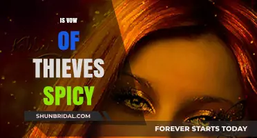 Is Vow of Thieves Spicy? Exploring the Romance and Heat