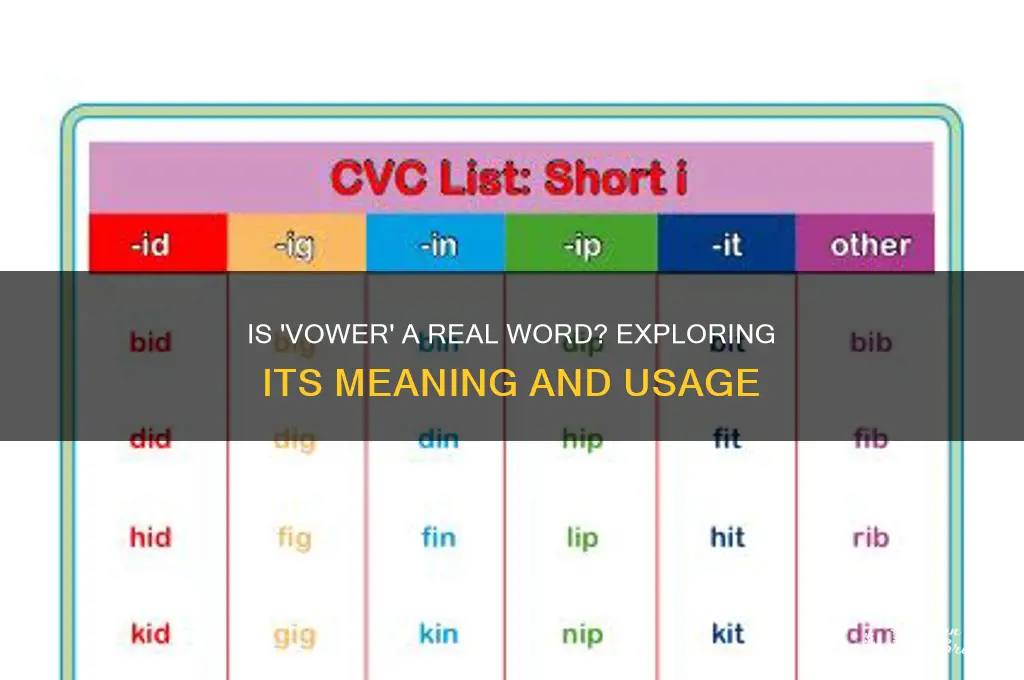 is vower a word