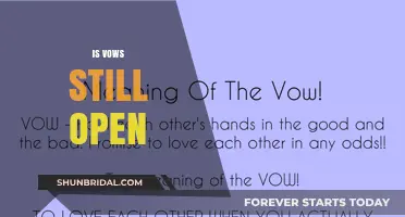 Is Vows Still Open? Exploring the Current Status and Future