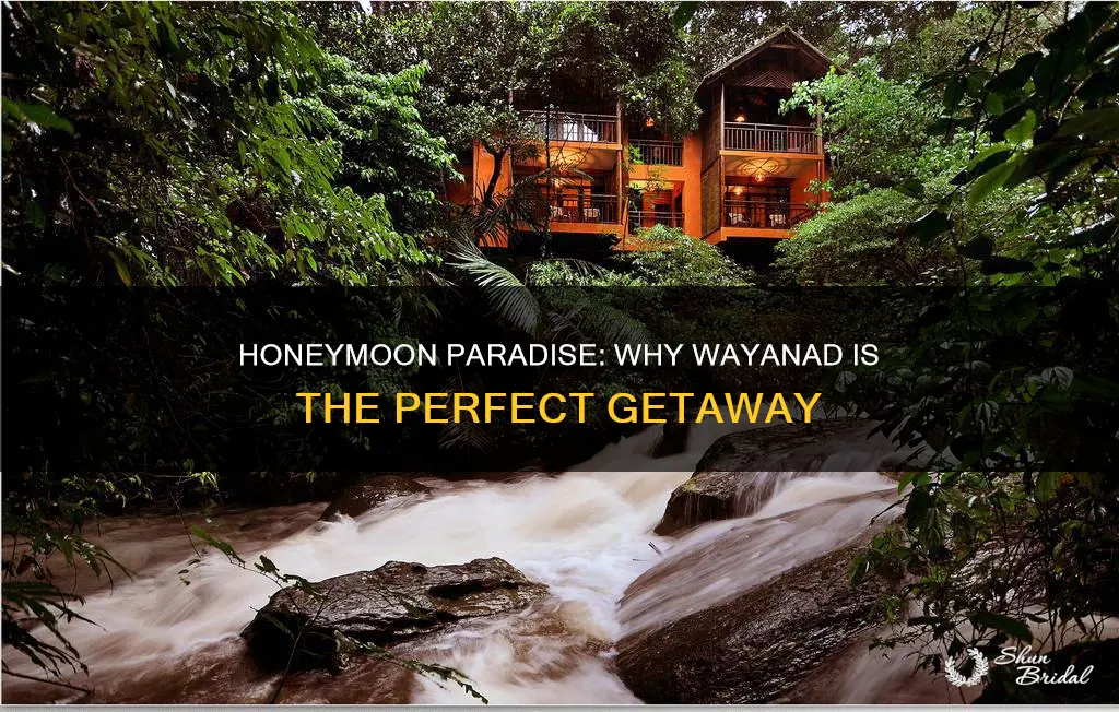 is wayanad a good place for honeymoon