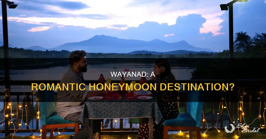 is wayanad a good place for honeymoon