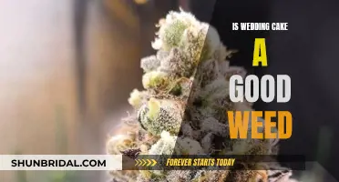 Weed Wedding Cake: Is It Worth the Hype?