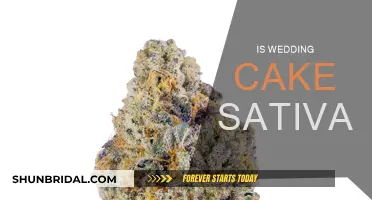 Wedding Cake Strain: Sativa or Indica?