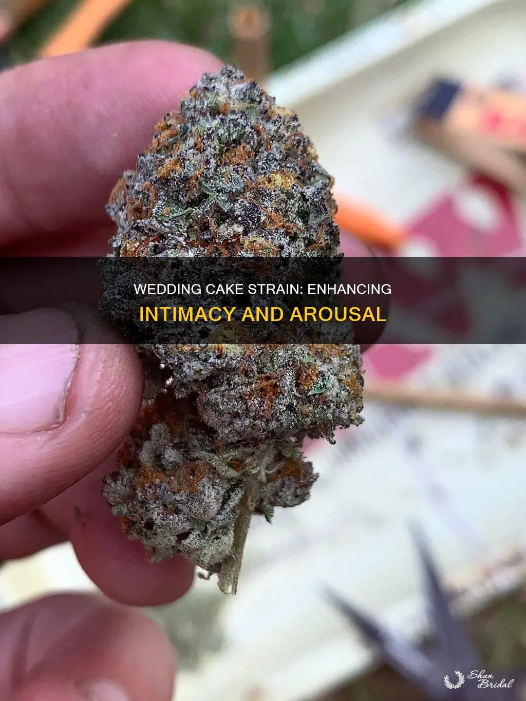 is wedding cake strain good for arousal