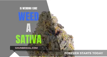 Weed Wedding Cake: Sativa or Indica?