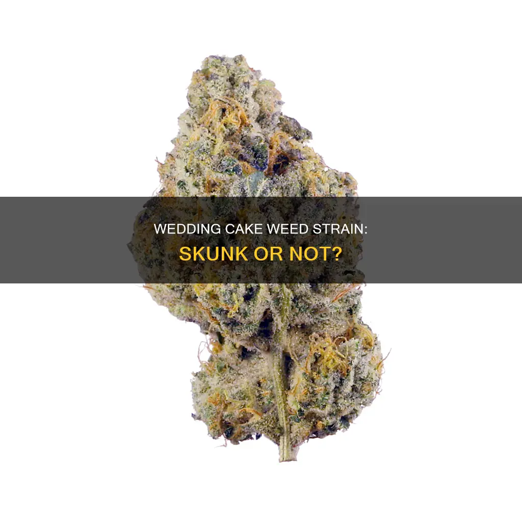 is wedding cake weed strain a skunk