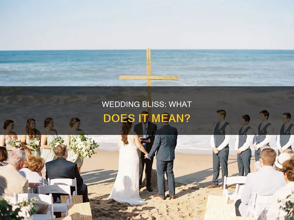 is wedding meaning