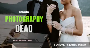Wedding Photography: Is It Still a Lucrative Career?