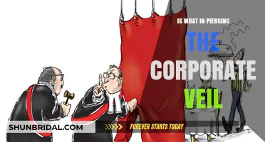 Understanding the Legal Implications of Piercing the Corporate Veil