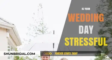Wedding Day Stress: Navigating the Chaos of Your Big Day