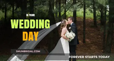 Your Perfect Wedding Day: Planning, Tips, and Timeless Memories
