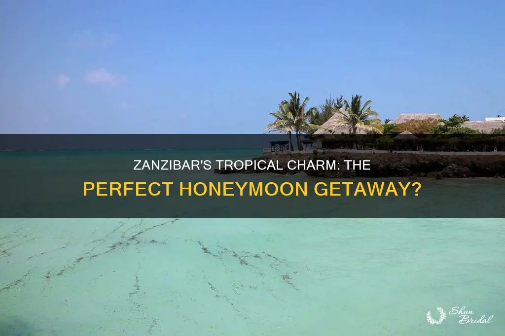 is zanzibar a good honeymoon destination