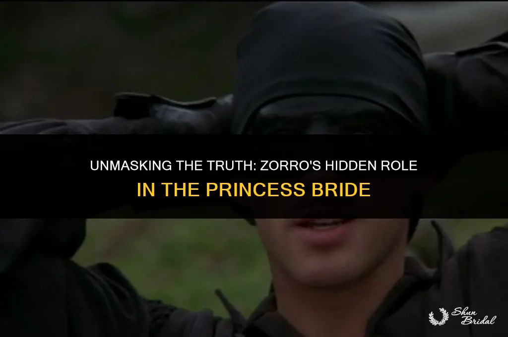is zorro in the princess bride