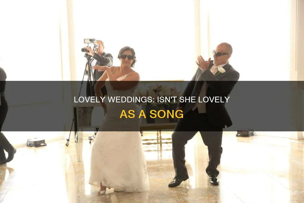 isn t she lovely wedding song