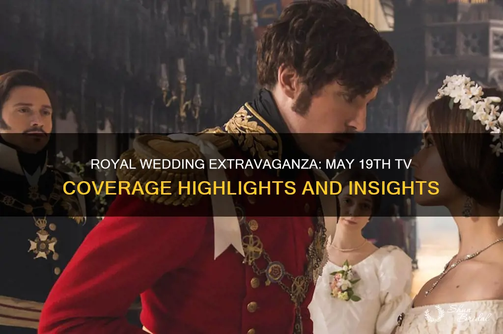 may 19th royal wedding tv