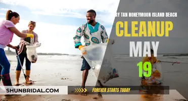 Sun-kissed Paradise: Tan's Honeymoon Island Beach Clean-up Success Story